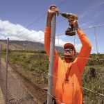 Feral pigs, deer no longer welcome